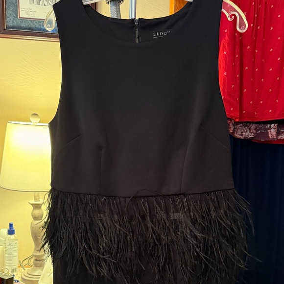 Eloquii Dresses & Skirts - Eloquii Black Dress size 14 with Feather Trim. Like new.